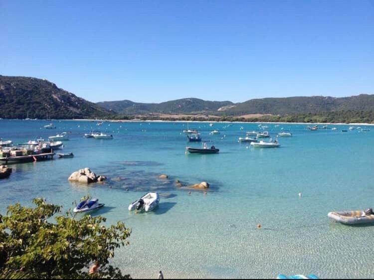 Porto-Vecchio Cala Sultana Baie Santa Giulia appartement 1 chambre 4-5 personnes Porto Vecchio Esterno foto